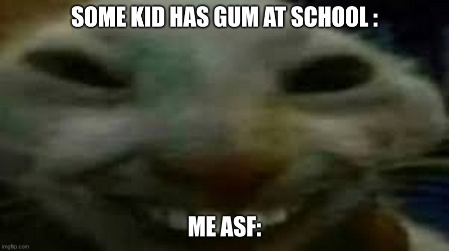 goofy ahh smiling cat | SOME KID HAS GUM AT SCHOOL :; ME ASF: | image tagged in goofy ahh smiling cat | made w/ Imgflip meme maker
