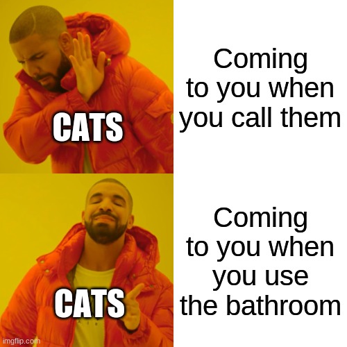 Drake Hotline Bling | Coming to you when you call them; CATS; Coming to you when you use the bathroom; CATS | image tagged in memes,drake hotline bling | made w/ Imgflip meme maker