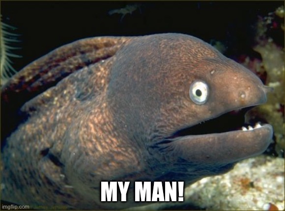Bad Joke Eel | MY MAN! | image tagged in memes,bad joke eel | made w/ Imgflip meme maker