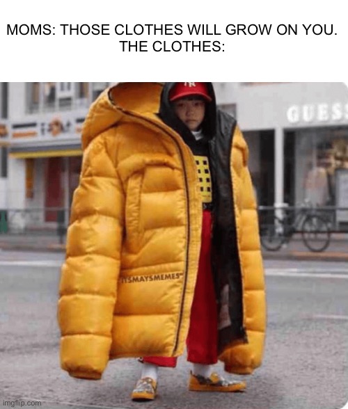 Bruh. | MOMS: THOSE CLOTHES WILL GROW ON YOU.
THE CLOTHES: | image tagged in memes,certified bruh moment | made w/ Imgflip meme maker