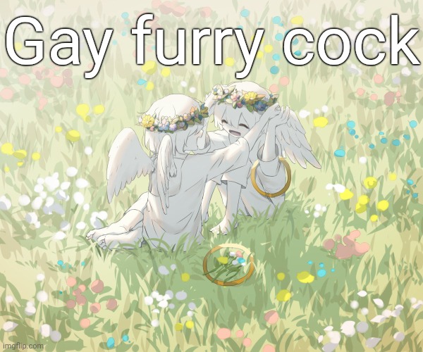 Avogado6 | Gay furry cock | image tagged in avogado6 | made w/ Imgflip meme maker