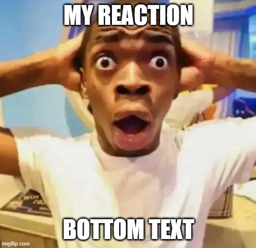 MY REACTION BOTTOM TEXT | image tagged in shocked black guy | made w/ Imgflip meme maker