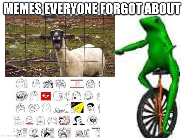remember these antiques? | MEMES EVERYONE FORGOT ABOUT | image tagged in dead memes | made w/ Imgflip meme maker