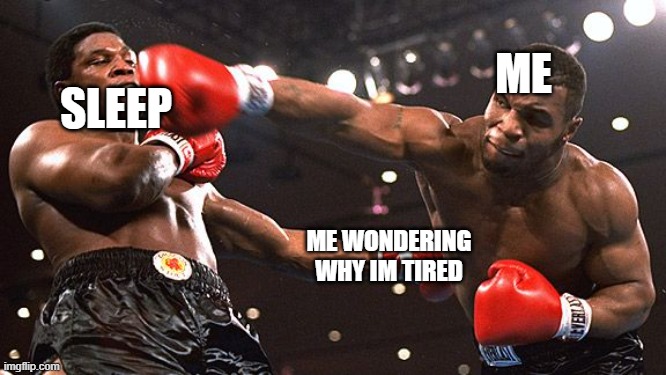 Sleep | SLEEP; ME; ME WONDERING WHY IM TIRED | image tagged in mike tyson punch | made w/ Imgflip meme maker