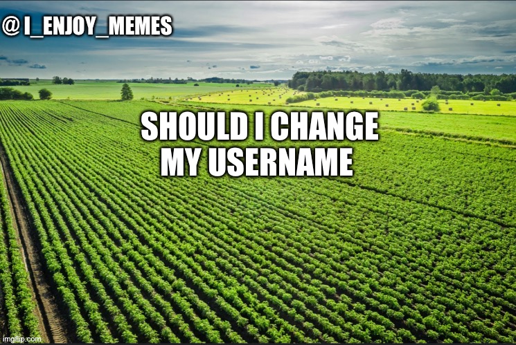 I_enjoy_memes_template | SHOULD I CHANGE MY USERNAME | image tagged in i_enjoy_memes_template | made w/ Imgflip meme maker