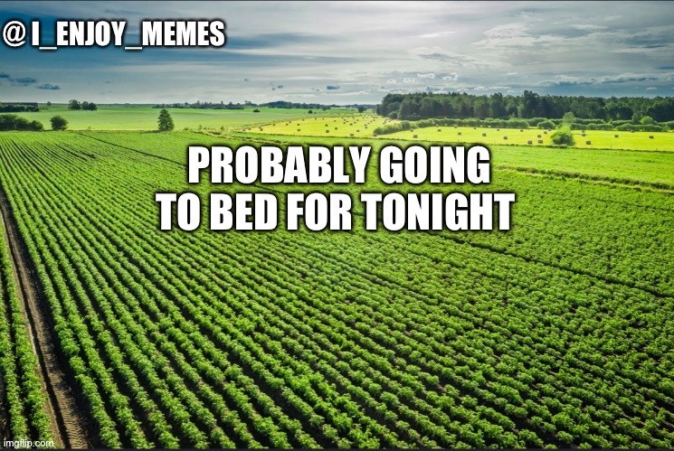 I_enjoy_memes_template | PROBABLY GOING TO BED FOR TONIGHT | image tagged in i_enjoy_memes_template | made w/ Imgflip meme maker