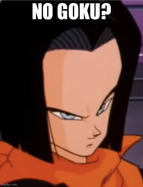 Big Forehead | NO GOKU? | image tagged in android 17,no bitches,dragon ball z,dragon ball,forehead | made w/ Imgflip meme maker