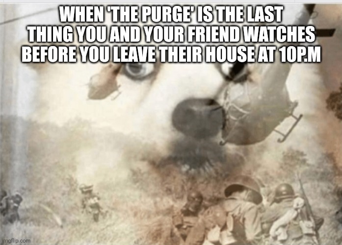 I love those movies, but DONT WATCH THEM BEFORE YOU LEAVE SOMEONE HOUSES AT NIGHT | WHEN 'THE PURGE' IS THE LAST THING YOU AND YOUR FRIEND WATCHES BEFORE YOU LEAVE THEIR HOUSE AT 10P.M | image tagged in ptsd dog,fun,purge,i wonder if anythung purge will get featured in fun | made w/ Imgflip meme maker