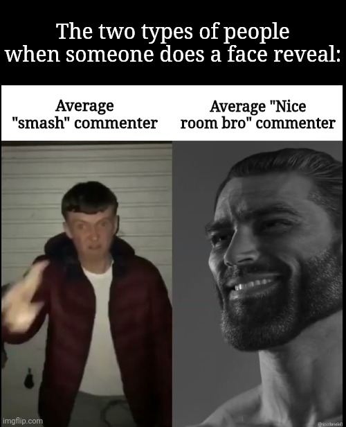 The "nice room" commenters are the real homies | The two types of people when someone does a face reveal:; Average "Nice room bro" commenter; Average "smash" commenter | image tagged in gigachad vs virgin | made w/ Imgflip meme maker