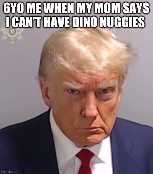 Sorry I have not posted in awhile I lost my account but got it back so just so you know I’m alive | 6YO ME WHEN MY MOM SAYS I CAN’T HAVE DINO NUGGIES | image tagged in donald trump mugshot | made w/ Imgflip meme maker