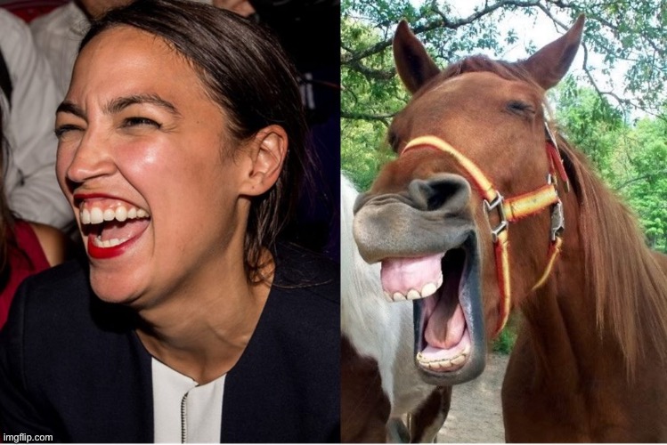 AOC horse face Alexandria Ocasio-Cortez | image tagged in aoc horse face alexandria ocasio-cortez | made w/ Imgflip meme maker