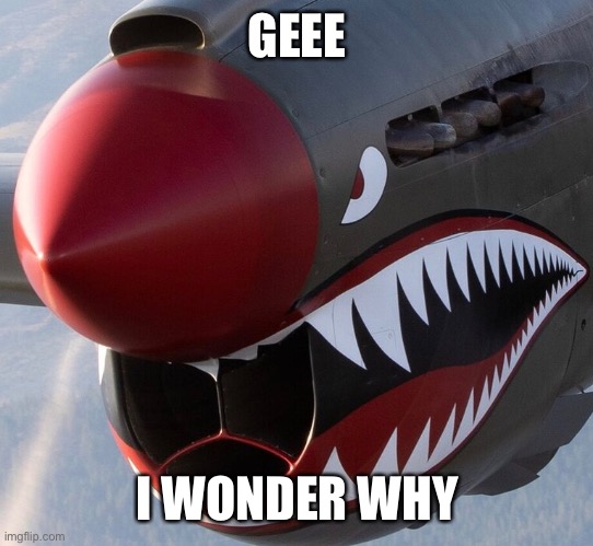 GEEE; I WONDER WHY | image tagged in warbird,aviation,fighter,plane | made w/ Imgflip meme maker