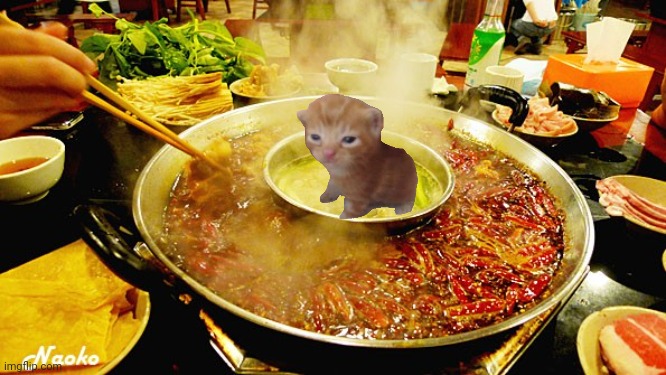 No miau (/j) | image tagged in hot pot | made w/ Imgflip meme maker