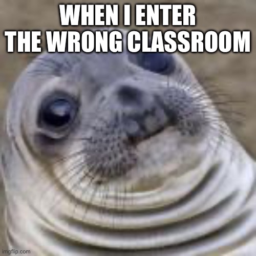 Sea Lion | WHEN I ENTER THE WRONG CLASSROOM | image tagged in sea lion | made w/ Imgflip meme maker