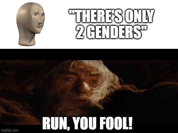 Blank White Template | "THERE'S ONLY
2 GENDERS" RUN, YOU FOOL! | image tagged in blank white template | made w/ Imgflip meme maker