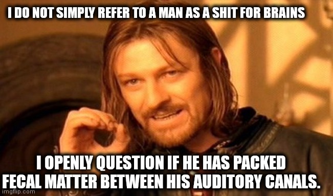 One Does Not Simply Meme | I DO NOT SIMPLY REFER TO A MAN AS A SHIT FOR BRAINS; I OPENLY QUESTION IF HE HAS PACKED FECAL MATTER BETWEEN HIS AUDITORY CANALS. | image tagged in memes,one does not simply | made w/ Imgflip meme maker