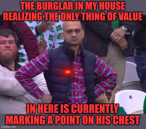 Halt!  Who are you | THE BURGLAR IN MY HOUSE REALIZING THE ONLY THING OF VALUE; IN HERE IS CURRENTLY MARKING A POINT ON HIS CHEST | image tagged in disappointed man | made w/ Imgflip meme maker