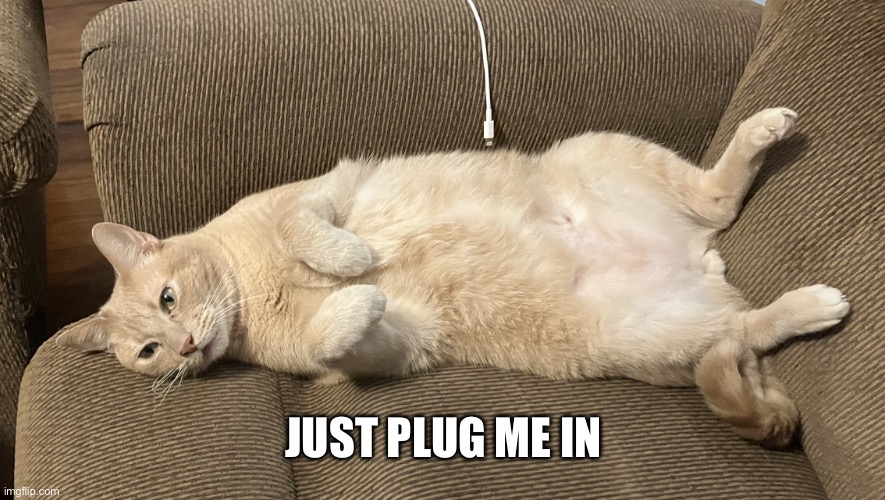 #PowerBall | JUST PLUG ME IN | image tagged in just plug me in | made w/ Imgflip meme maker