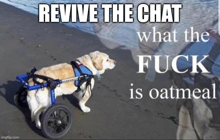 What the f**k is oatmeal | REVIVE THE CHAT | image tagged in what the f k is oatmeal | made w/ Imgflip meme maker