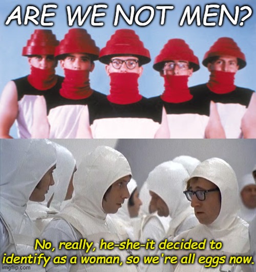 If you didn't come of age by the 70's this probably won't make any sense | ARE WE NOT MEN? No, really, he-she-it decided to identify as a woman, so we're all eggs now. | image tagged in devo,everything you wanted to know | made w/ Imgflip meme maker