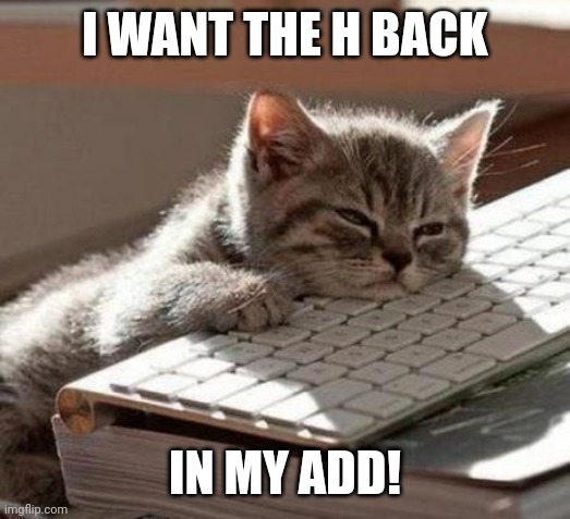 ADHD Cat | I WANT THE H BACK; IN MY ADD! | image tagged in tired cat | made w/ Imgflip meme maker