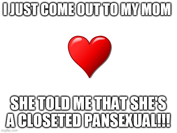 *^^* | I JUST COME OUT TO MY MOM; SHE TOLD ME THAT SHE'S A CLOSETED PANSEXUAL!!! | image tagged in supportive mom,lesbian,pansexual,lgbtq | made w/ Imgflip meme maker