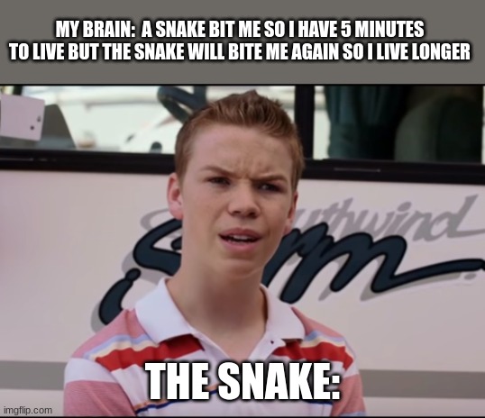 my brain be like | MY BRAIN:  A SNAKE BIT ME SO I HAVE 5 MINUTES TO LIVE BUT THE SNAKE WILL BITE ME AGAIN SO I LIVE LONGER; THE SNAKE: | image tagged in you guys are getting paid,funny,memes,snake,brains | made w/ Imgflip meme maker