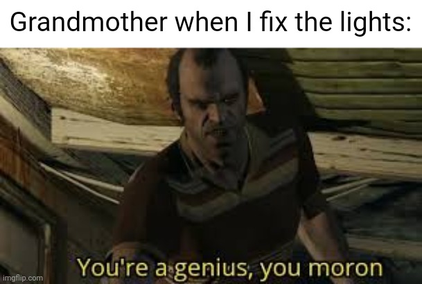 You're a genius, you moron | Grandmother when I fix the lights: | image tagged in you're a genius you moron | made w/ Imgflip meme maker