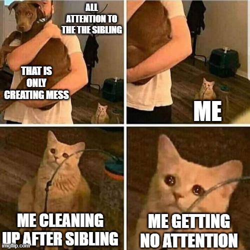 Sad me | ALL ATTENTION TO THE THE SIBLING; THAT IS ONLY CREATING MESS; ME; ME CLEANING UP AFTER SIBLING; ME GETTING NO ATTENTION | image tagged in sad cat holding dog | made w/ Imgflip meme maker