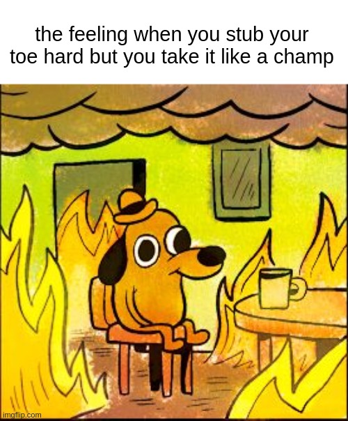 pain? never heard of it | the feeling when you stub your toe hard but you take it like a champ | image tagged in this is fine | made w/ Imgflip meme maker