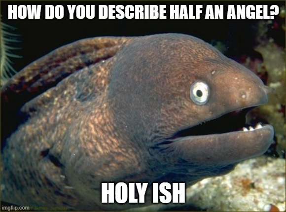 Do you think the setup is too forced? | HOW DO YOU DESCRIBE HALF AN ANGEL? HOLY ISH | image tagged in memes,bad joke eel,angel,holy,heaven,so yeah | made w/ Imgflip meme maker