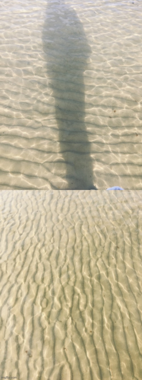 Two stunning photos I took at the beach! | made w/ Imgflip meme maker