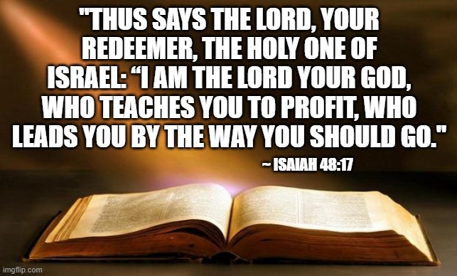 Bible  | "THUS SAYS THE LORD, YOUR REDEEMER, THE HOLY ONE OF ISRAEL: “I AM THE LORD YOUR GOD, WHO TEACHES YOU TO PROFIT, WHO LEADS YOU BY THE WAY YOU SHOULD GO."; ~ ISAIAH 48:17 | image tagged in bible | made w/ Imgflip meme maker