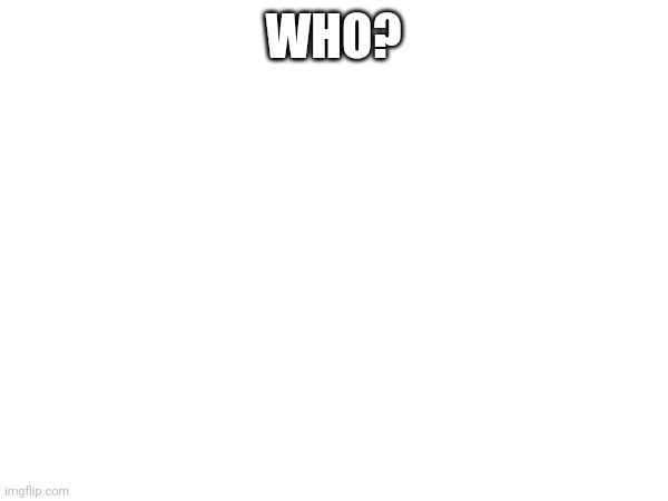 WHO? | made w/ Imgflip meme maker