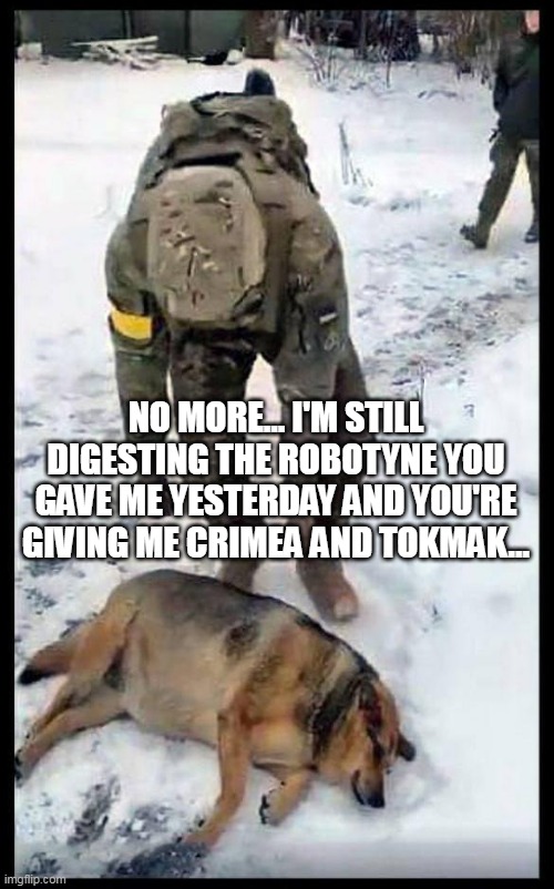Robotyne dog | NO MORE... I'M STILL DIGESTING THE ROBOTYNE YOU GAVE ME YESTERDAY AND YOU'RE GIVING ME CRIMEA AND TOKMAK... | image tagged in bakhmut dog,russo-ukrainian war,russian lives matter | made w/ Imgflip meme maker