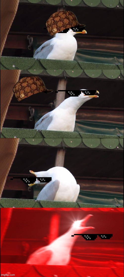 Inhaling Seagull Meme - Imgflip