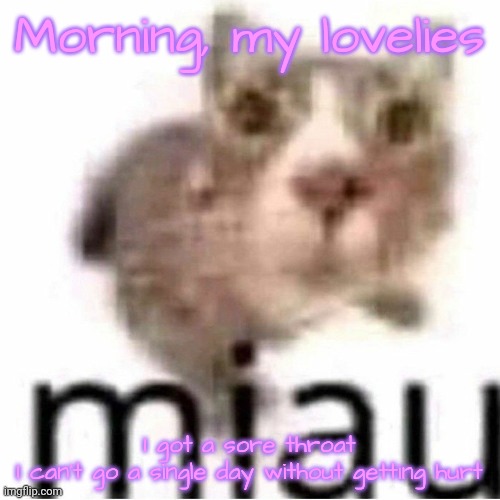 miau | Morning, my lovelies; I got a sore throat
I can't go a single day without getting hurt | image tagged in miau,lovelies | made w/ Imgflip meme maker