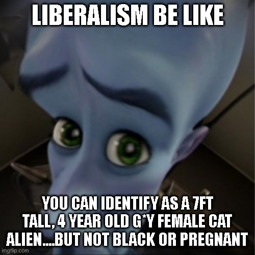Megamind peeking | LIBERALISM BE LIKE; YOU CAN IDENTIFY AS A 7FT TALL, 4 YEAR OLD G*Y FEMALE CAT ALIEN....BUT NOT BLACK OR PREGNANT | image tagged in megamind peeking | made w/ Imgflip meme maker