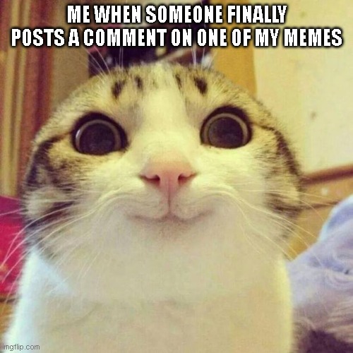 happy | ME WHEN SOMEONE FINALLY POSTS A COMMENT ON ONE OF MY MEMES | image tagged in memes,smiling cat | made w/ Imgflip meme maker