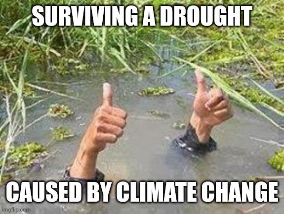 FLOODING THUMBS UP | SURVIVING A DROUGHT CAUSED BY CLIMATE CHANGE | image tagged in flooding thumbs up | made w/ Imgflip meme maker
