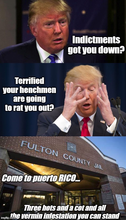 So what if it's low-hanging fruit? Doesn't make it any less sweet. | Indictments got you down? Terrified your henchmen are going to rat you out? Come to puerto RICO... Three hots and a cot and all the vermin infestation you can stand | image tagged in sad trump,trump scared,fulton county jail,justice | made w/ Imgflip meme maker