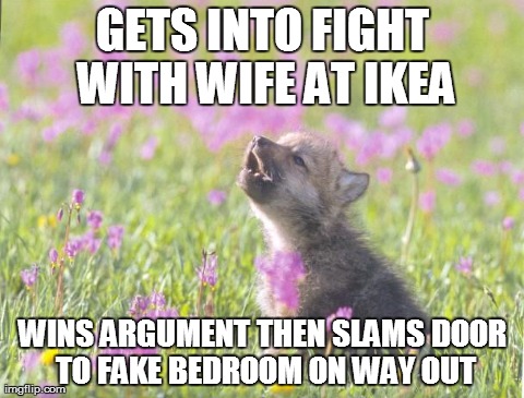 Baby Insanity Wolf | GETS INTO FIGHT WITH WIFE AT IKEA WINS ARGUMENT THEN SLAMS DOOR TO FAKE BEDROOM ON WAY OUT | image tagged in memes,baby insanity wolf,AdviceAnimals | made w/ Imgflip meme maker
