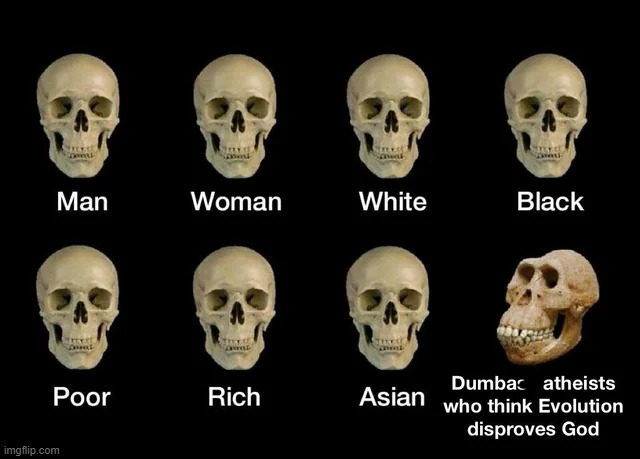 image tagged in memes | made w/ Imgflip meme maker