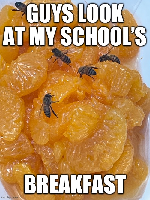 Orange | GUYS LOOK AT MY SCHOOL’S; BREAKFAST | image tagged in school,food | made w/ Imgflip meme maker