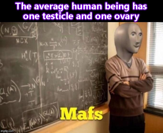 An average human being | The average human being has
one testicle and one ovary | image tagged in mafs,memes,funny | made w/ Imgflip meme maker