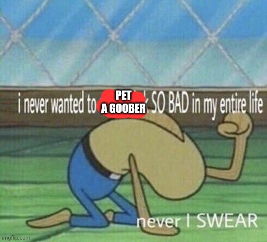 Never have I wanted | PET A GOOBER | image tagged in never have i wanted | made w/ Imgflip meme maker