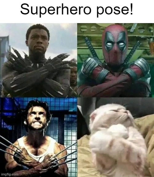 Superhero pose! | image tagged in marvel,memes,funny | made w/ Imgflip meme maker
