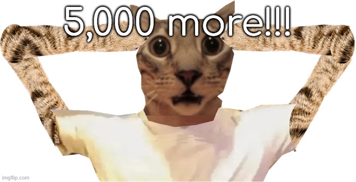 95,000 | 5,000 more!!! | image tagged in cat shocked | made w/ Imgflip meme maker