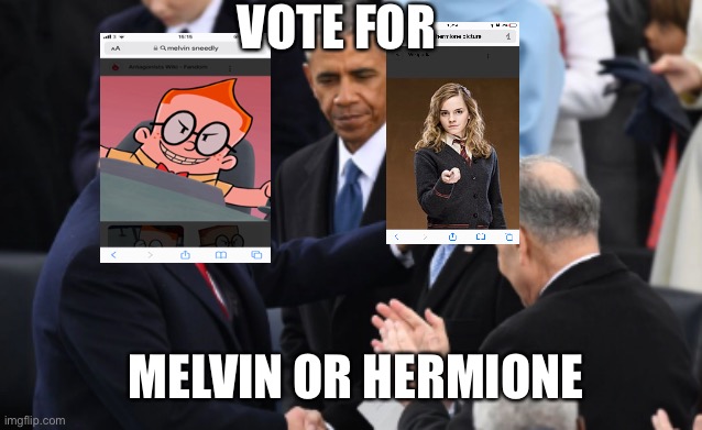 trump vs biden | VOTE FOR; MELVIN OR HERMIONE | image tagged in trump vs biden | made w/ Imgflip meme maker
