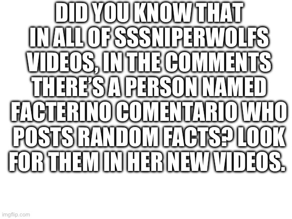 I’m not either of them but I think they should have some recognition. But check in her new YT videos. Easier to find. | DID YOU KNOW THAT IN ALL OF SSSNIPERWOLFS VIDEOS, IN THE COMMENTS THERE’S A PERSON NAMED FACTERINO COMENTARIO WHO POSTS RANDOM FACTS? LOOK FOR THEM IN HER NEW VIDEOS. | image tagged in blank white template | made w/ Imgflip meme maker